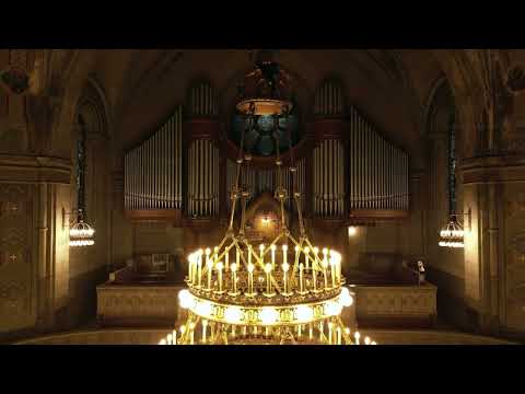 F. Mendelssohn - VI Orgelsonate d-moll op. 65 | Jakub Garbacz - organy kościoła św. Mateusza w Łodzi