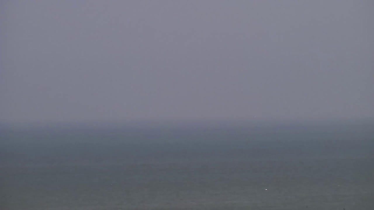 Live webcam view of Nieuwpoort Beach Cabins & Pier