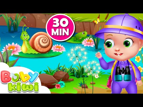 Melc Melc Codobelc 30MIN - Cântece de Gradință | Baby Kiwi 🥝