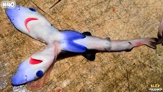 10 ДВУХГОЛОВЫХ ЖИВОТНЫХ - Интересные факты!