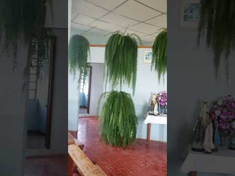 #igreja# linhamontanha # portoxavier# fronteira # interior #riograndedosul #brasil