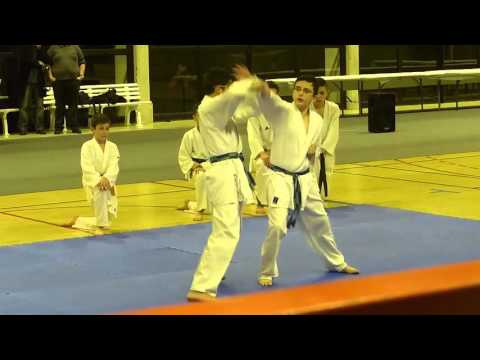 démonstration OMS  karaté Monistrol