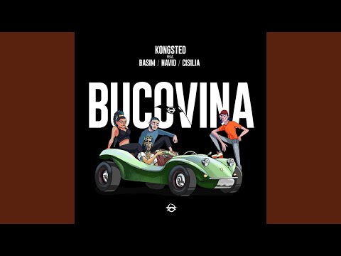 Kongsted Bucovina Feat Basim Navid Cisilia Shantel