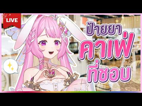 🔴LIVE | ป้ายยาคาเฟ่ที่ชอบ | LAPINE 🌛