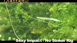 Miniature de la vidéo Nage du leurre souple Keitech Sexy Impact