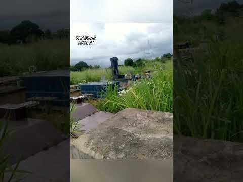 Cementerio abandona por las autoridades de santa ana estado Anzoátegui...