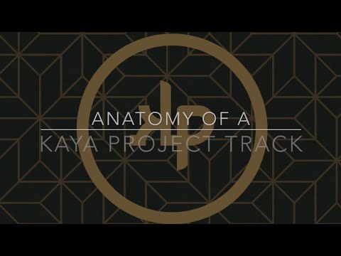 Anatomy of a Kaya Project Track (San Pedro Rising)