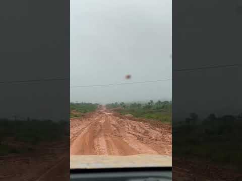 Camino hacia Puerto Rico, Pando Amazonia 🌴🌴