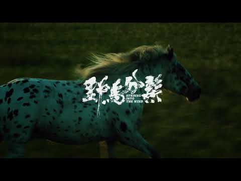 thumbnail-STRIDING INTO THE WIND Trailer| Cannes 2020 Wei Shujun's satire on current state of indie filmmaking