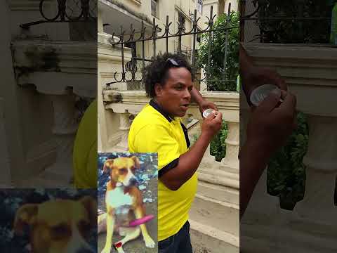 My dog ​​is lost! #prank #humor