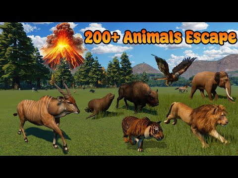 200+ Animals Escape From The Volcanic Eruption Animal Race in Planet Zoo included Elephant, Giraffe