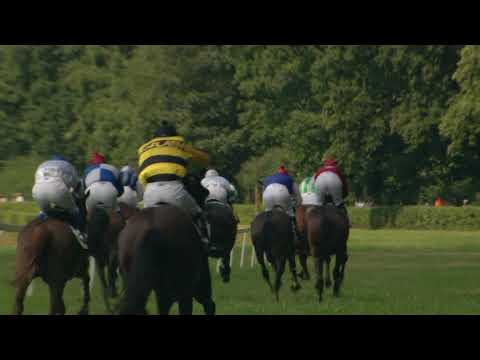 2. dostih - Cena Envisan - Gem a.s. - Prostor Design (IV, 1600 m) - dostihy Netolice 16. 8. 2020