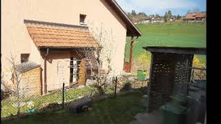 Florian ast gemschelibock nur audio