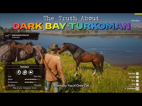 Dark Bay TURKOMAN: The Best Horse in RDR2? The Truth Might Surprise You! 🤔