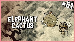 🐷 Gathering Elephant Cactus | Don&#39;t Starve Hamlet/Shipwrecked Gameplay | Part 51