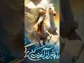 Nadeem Sarwar Noha Status Shorts 2025