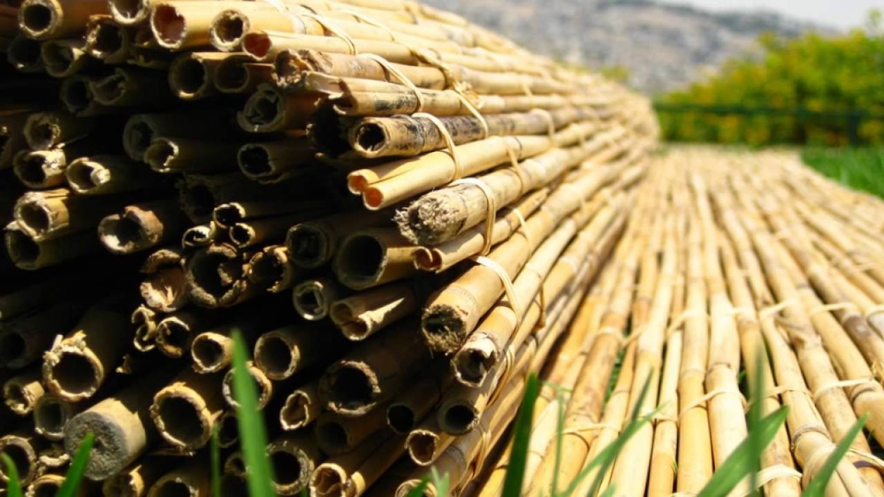 מכירת סוכה - חייג 072-2133333