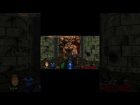 Brutal Doom Revenant Horde vs Cyberdemon Fight Battle