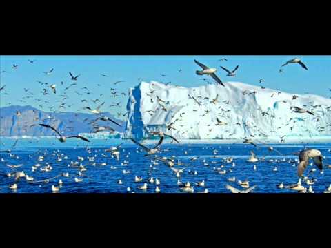 Frank Boeijen Stormvogels