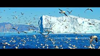 Frank Boeijen Stormvogels