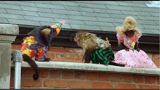 Family Movies 2017 in English Hollywood Fantasy Movie || New Sci fi movies 2017