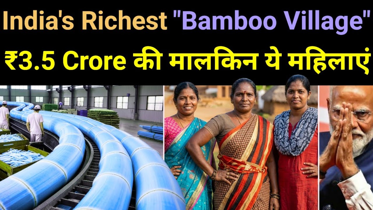 ₹30 Lakh/Month -  This Indian Village Sells Wild Blue Bamboo to Europe & Dubai🔥 Pachgaon #business