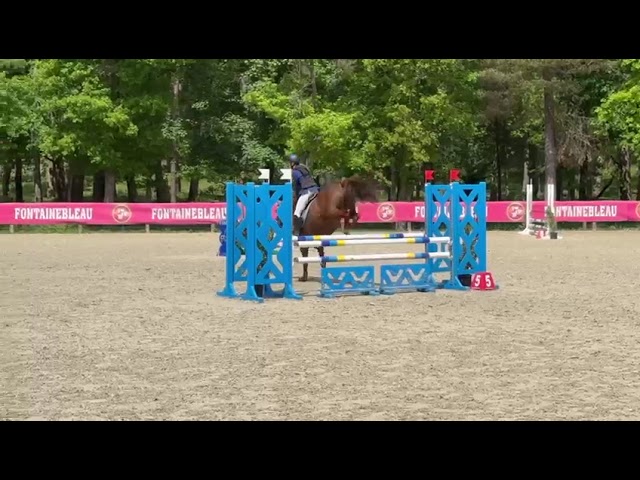 Ponette D à louer / 15 ans