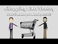 Shopping Cart Theory DEBATE Is This The Apex Example Of A Bad Person