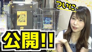 【遊戯王】ついに高額コレクション公開する！！！【めいちゃんねる】【Yu-Gi-Oh!】