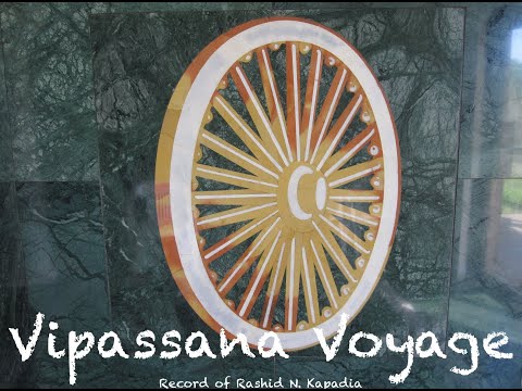 Vipassana Voyage. Video #6. 1-Year Milestone. Jan 8, 2019