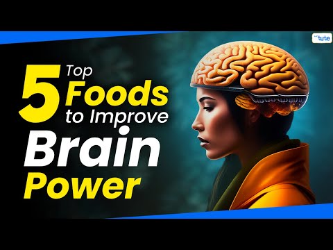 5 Amazing Foods That Keep Your Brain Healthy | Foods for Healthy Brain