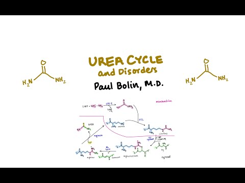 Disorders of the Urea Cycle - CRASH! Medical Review Series