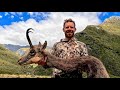 High Horns No Roars Roar Ballot 2025 Hunting NZ