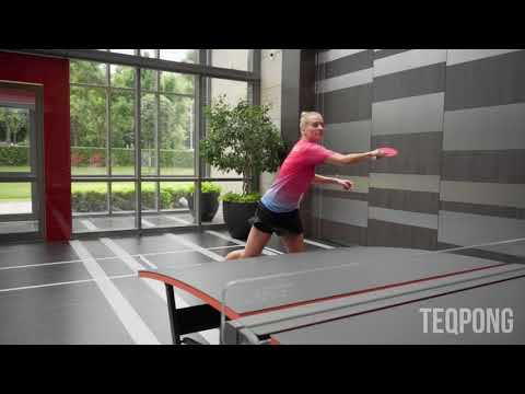 TEQPONG - When your opponent is too good at Teqpong