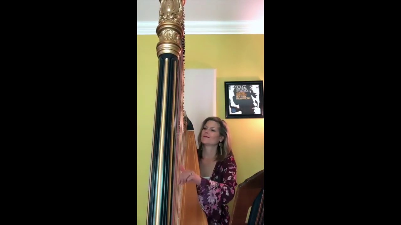 Promotional video thumbnail 2 for Kirsten Agresta Copely