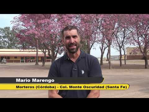 Genética de vacas, rentabilidad e historia de los tambos de la familia Marengo en Monte Oscuridad