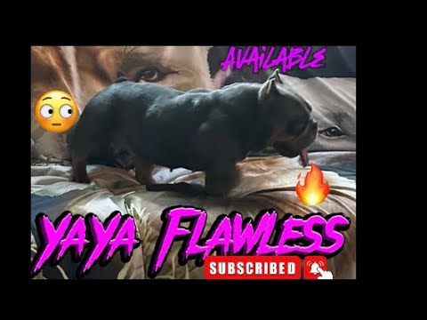 Adult nano female up for grabs,slow feet don’t eat!💯💯🫡