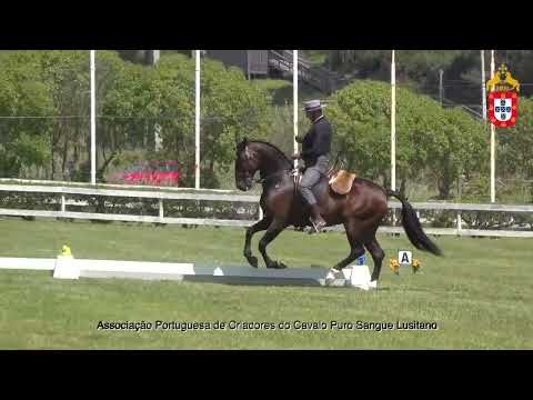 220430 Consagrados Prova de Ensino III Jornada CNET e Internacional