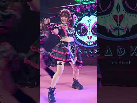 DEADKAT "Fleeting Lights" (kew-wan focus) Chang Music Connection Presents Melody of Life15