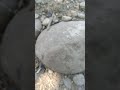 Stone Stone Philippines Isabela