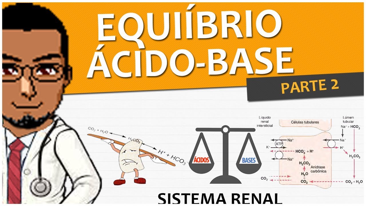 Sistema Renal/Urinário/Excretor 15 - Equilibro Ácido-Base Parte 2