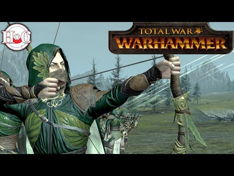 Total War Warhammer 2 : 600 WayWatchers vs 700 Phoenix Guard