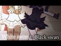 🖤 White swan VS Black swan 🦢 || Gacha animation || [600+ subscribers special] #gachaclub