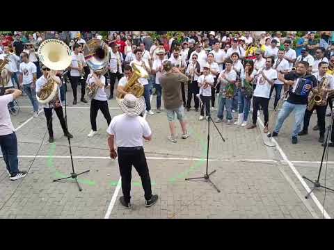 Encuentro de Bandas Papayeras Rio de Oro Cesar 2026