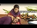 Episode 1024 Chakravakam Telugu Daily Serial Manjula Naidu Loud Speaker