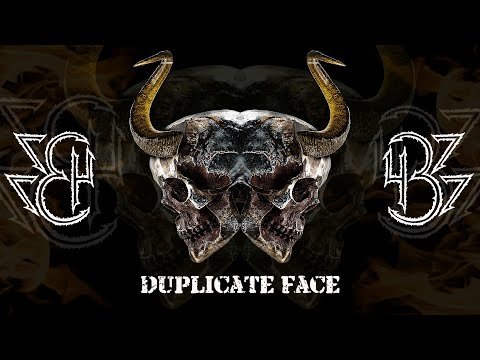 4377 - Duplicate Face