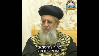 חובת החזרת החללים לקבר ישראל I מרן הראשון לציון הגאון רבי דוד יוסף שליט"א #חטופים #הראשון_לציון (מוסדות יחווה דעת) - התמונה מוצגת ישירות מתוך אתר האינטרנט יוטיוב. זכויות היוצרים בתמונה שייכות ליוצרה. קישור קרדיט למקור התוכן נמצא בתוך דף הסרטון