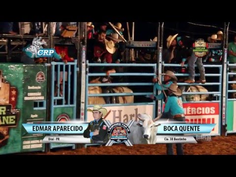 Rodeio de Oscar Bressane 2016 - MELHORES TOUROS / QUINTA FEIRA