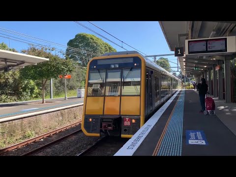 2190ST Transport Vlog 221: [Sydney Trains] Nice Chopper on Tangara (T49 & T88 102G/H)