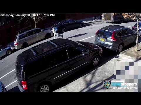 NYC Armored Truck Robbery
